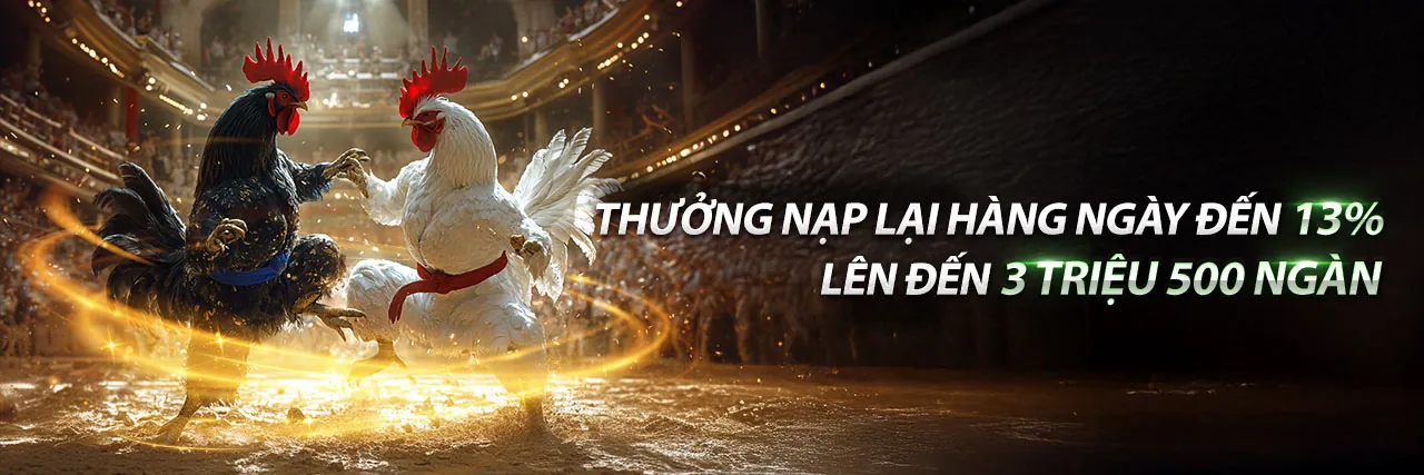 Sân đấu đá gà trực tuyến 23win sôi động